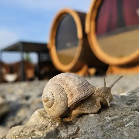 Czill Beczki Kamp alanı *