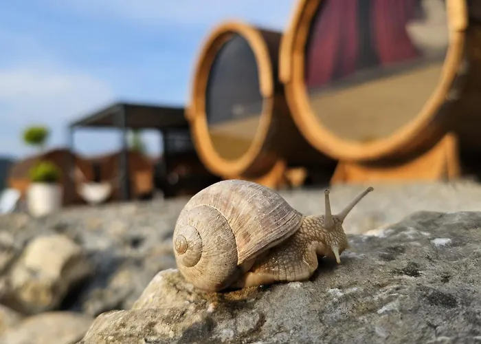 Czill Beczki Kemping *